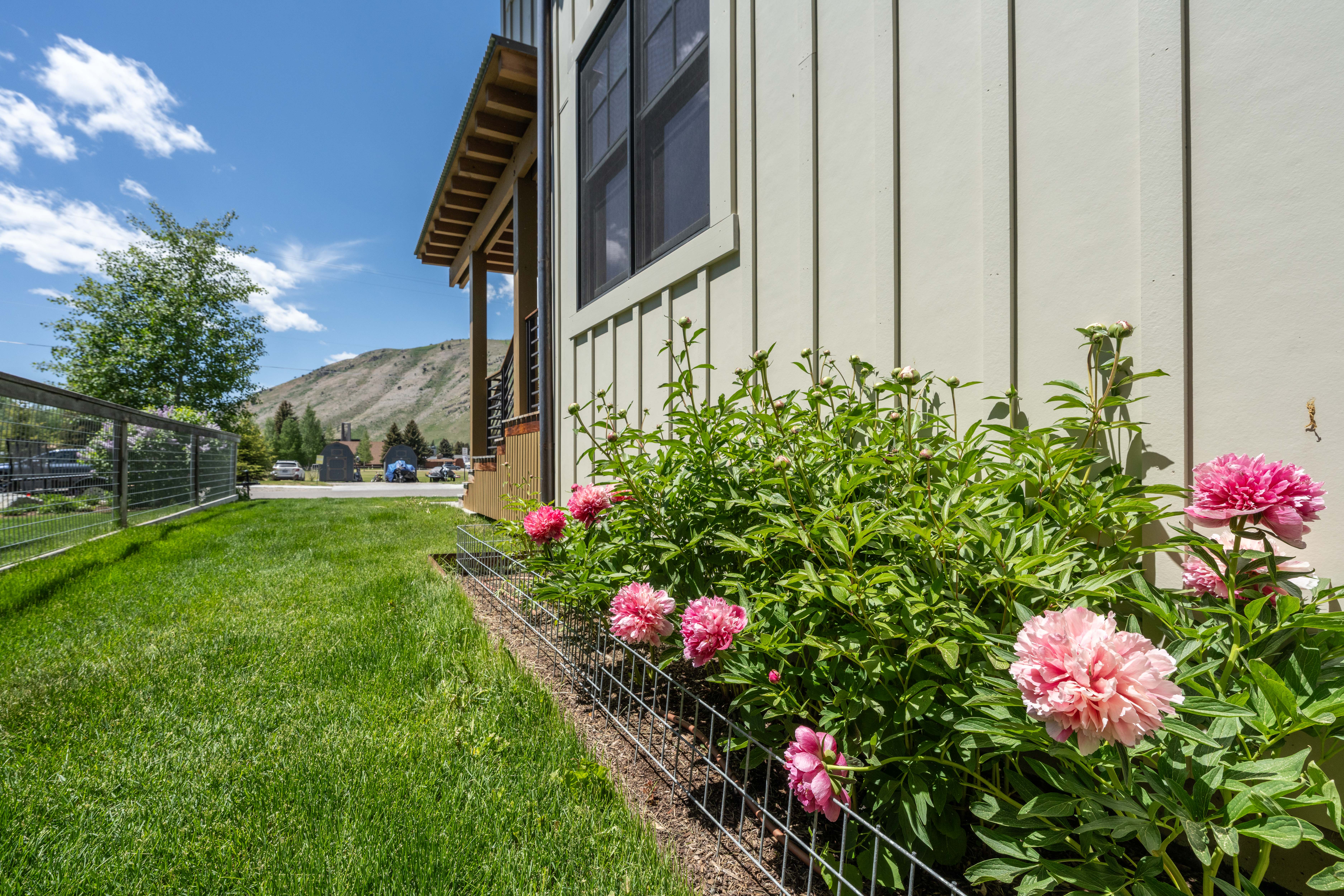 Mature landscaping and peonies